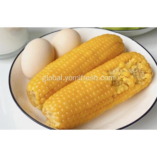 Vacuum Packed Corn Vacuum Seal Corn On The Cob Manufactory